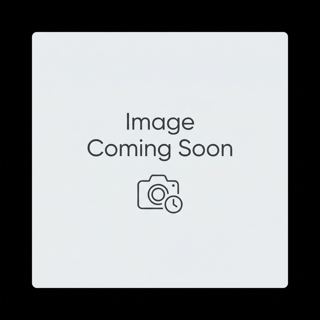 Soaring Swallow Sweatshirt